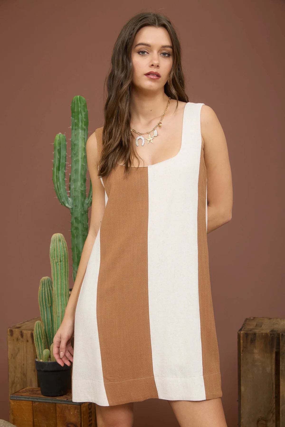 Brown Wide Stripe Dress